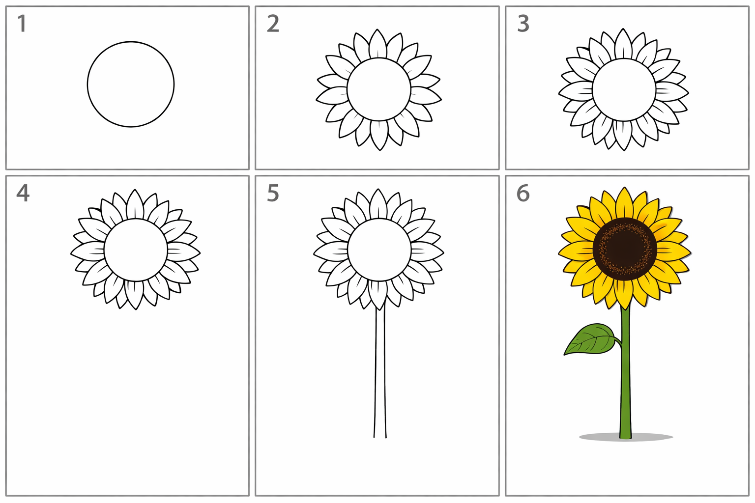 Cómo dibujar un girasol para principiantes — paso 1