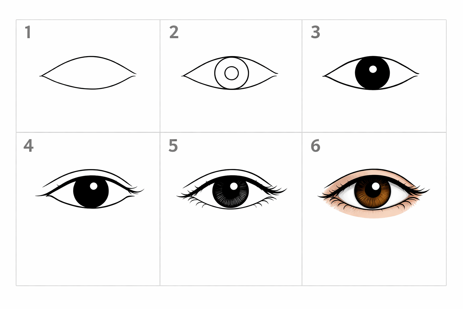 Cómo dibujar un ojo de adulto paso a paso
