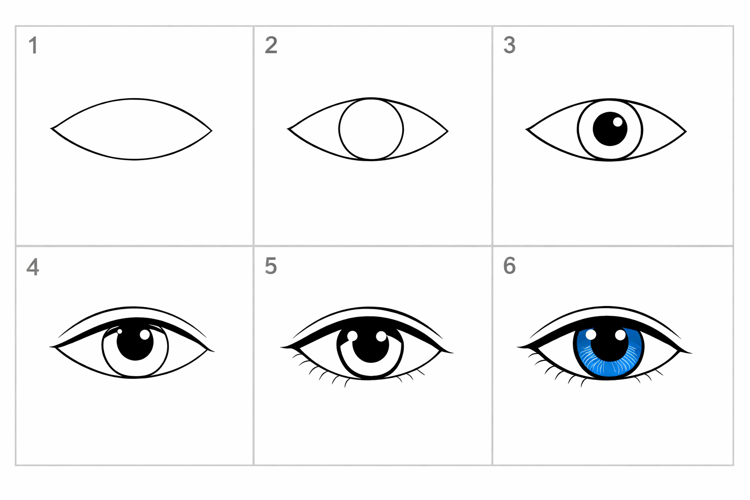 Cómo dibujar un ojo de frente en 5 pasos