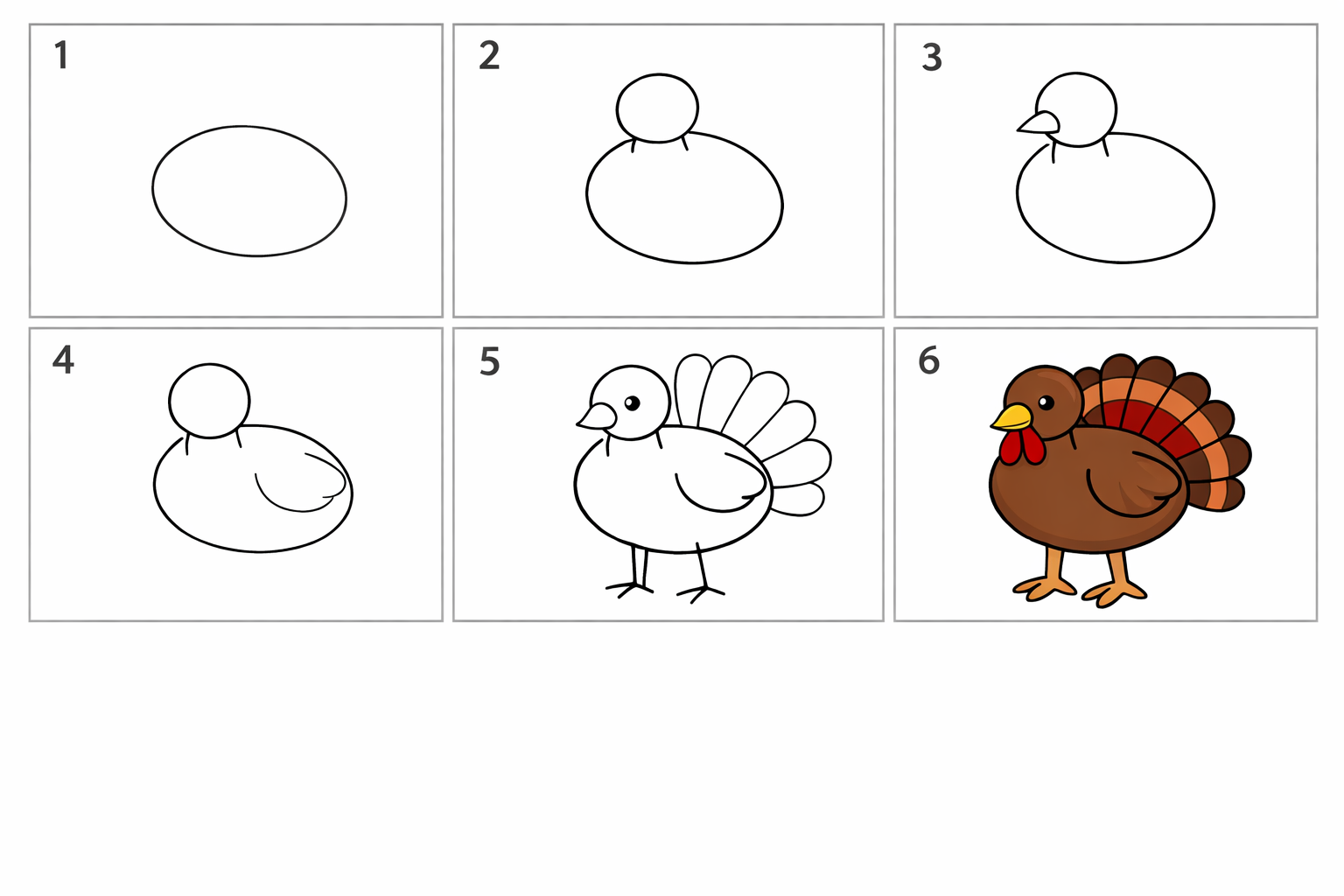 Cómo dibujar un pavo fácil — paso 1