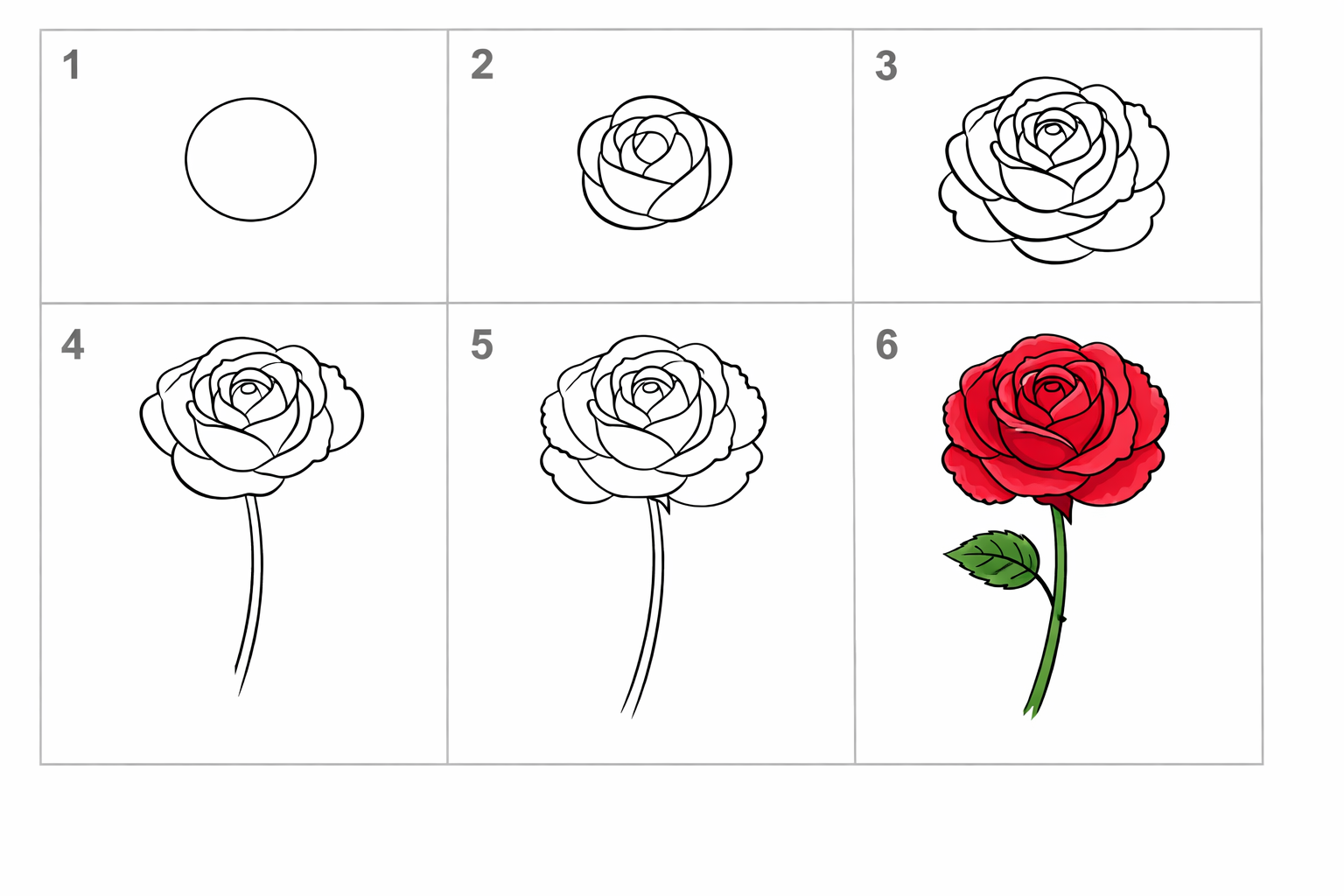 Cómo dibujar una rosa fácil en 5 pasos — paso 1