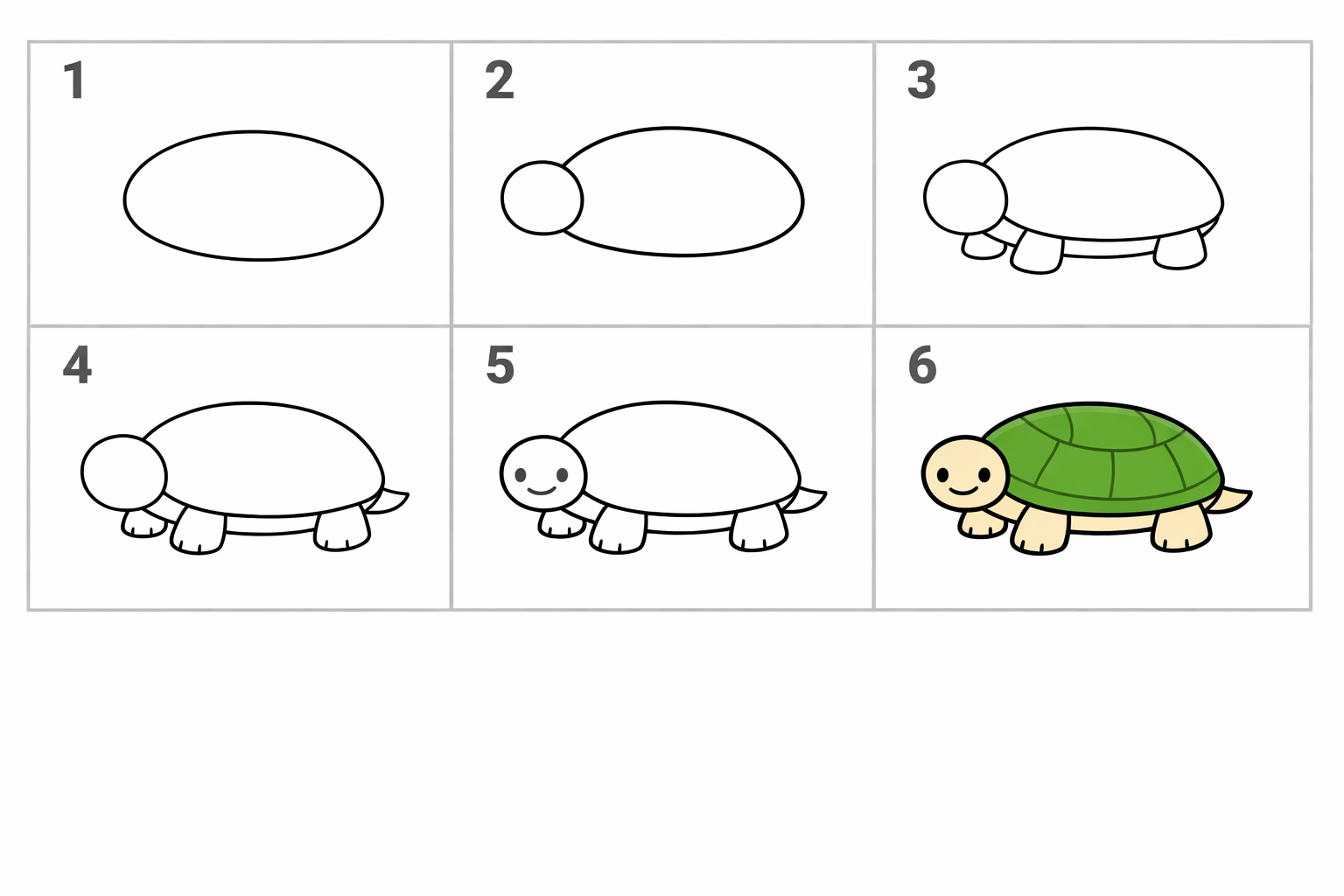 Cómo dibujar una tortuga paso a paso — paso 1